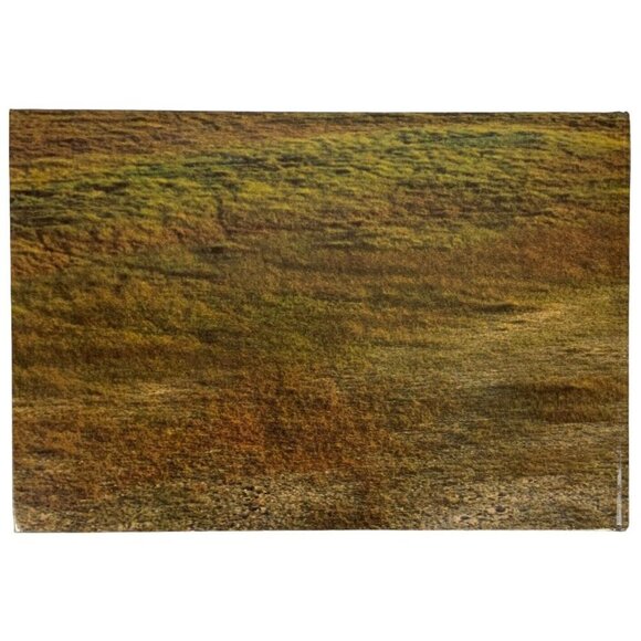 Its All In The Game: Family Secrets Of Texas Wild Game Cooking Hardcover 1986 - Picture 3 of 11